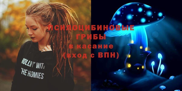 молекула духа Краснослободск