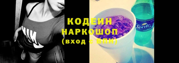 молекула духа Краснослободск