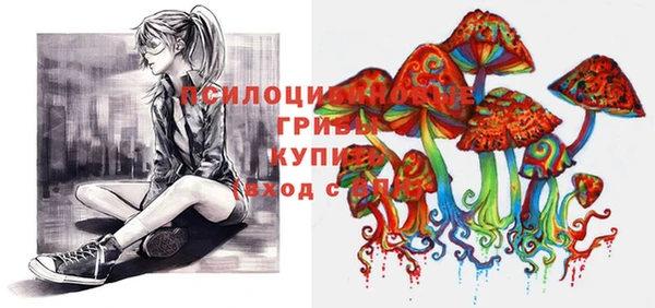 бошки Костерёво