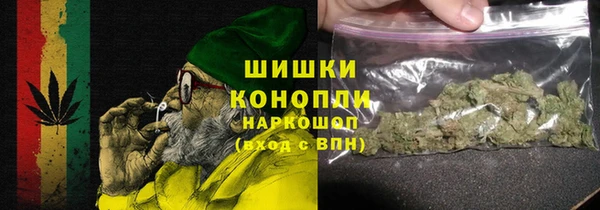 молекула духа Краснослободск