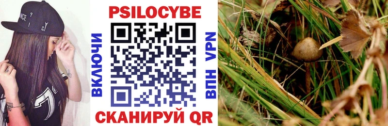 Галлюциногенные грибы мухоморы  shop Telegram  Суровикино 
